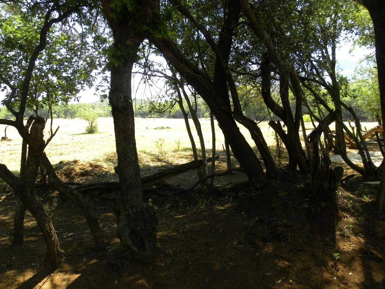 Harties Is Africa Safari Lodge Kosmos ภายนอก รูปภาพ