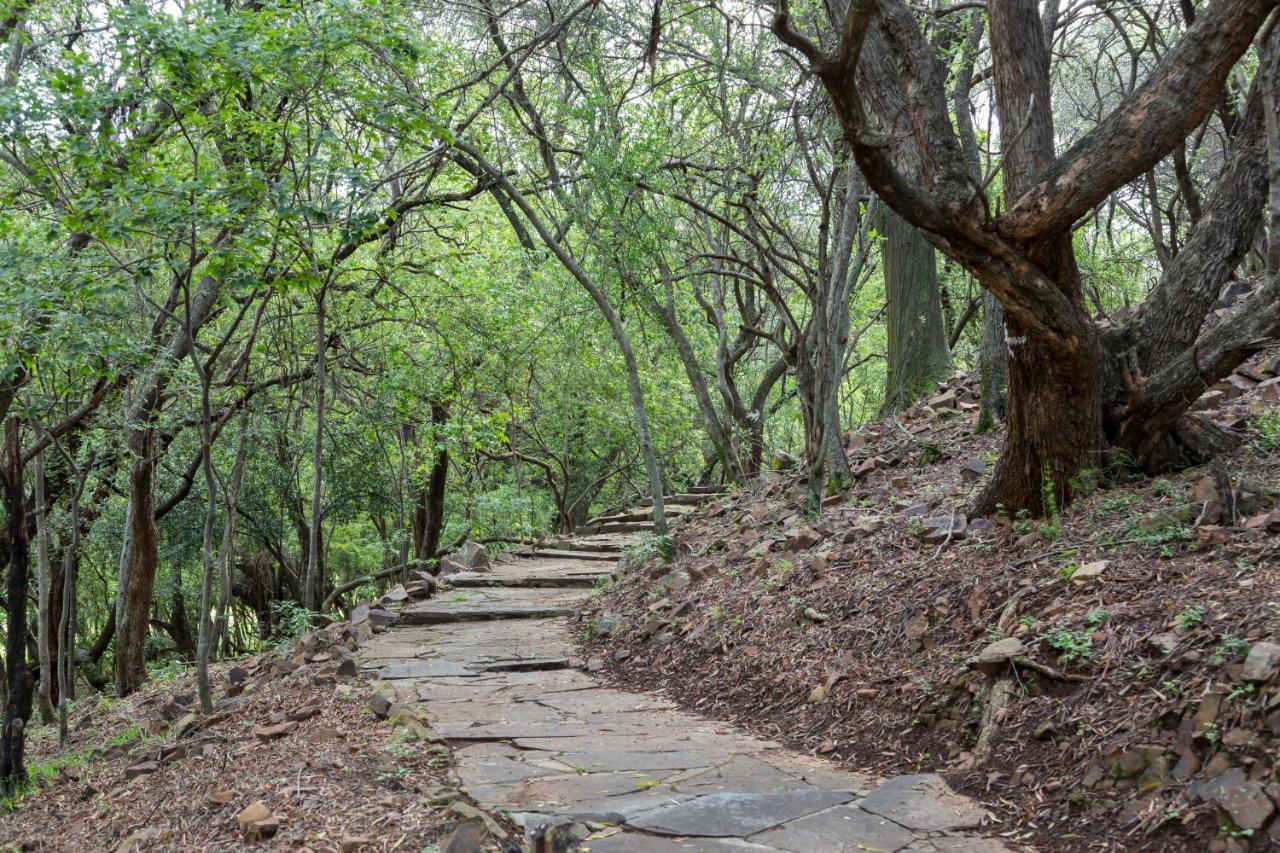 Harties Is Africa Safari Lodge Kosmos ภายนอก รูปภาพ